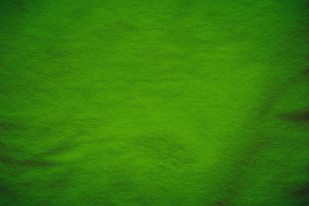 old paper texture, green backgroundの写真素材