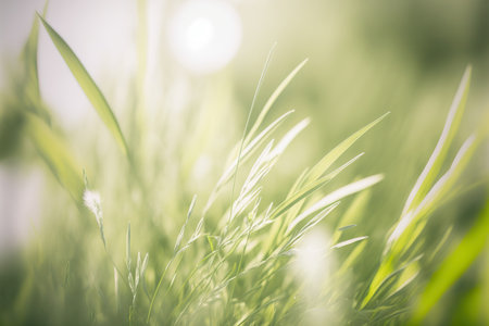 Blurred greenery herbal banner template. AI generated picture.の素材