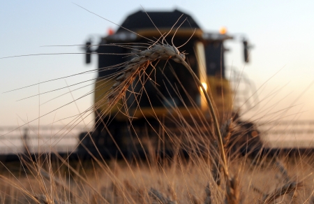 Combine removes wheat warm summer eveningの写真素材