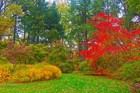 Autumn palette  US National Arboretum in the Fall, Washington DC の写真素材