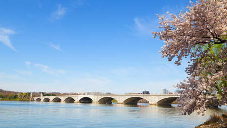 Arlington Memorial Bridge during cherry blossom festival in Washington DC. The bridge over Potomac River in the US capital.の写真素材