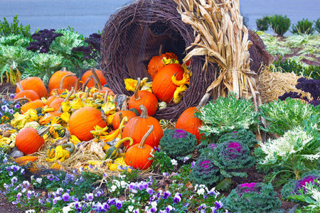 Autumn decor with pumpkins. Basket with harvest of pumpkins and flowers.