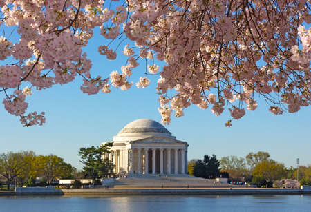 Thomas Jefferson Memorial at dawn during cherry blossom festival. US Capitol and Thomas Jefferson Memorial landmarks in US capital.の写真素材
