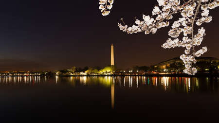 Washington Monument across Tidal Basin during cherry blossom festival, Washington DC. Washington Monument on dark blue night sky background in the dusk.のeditorial素材