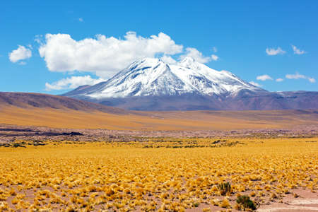 Snow peak mountains in the desert, San Pedro de Atacama, Chile, South America. Puna grassland in the Chilean Altiplano desert.の写真素材
