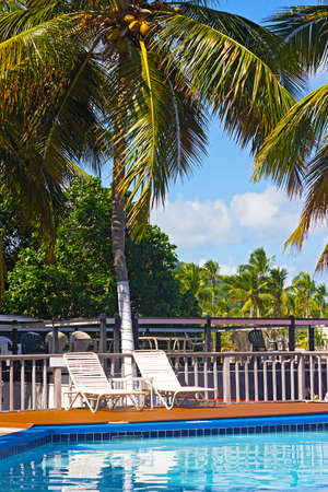 Leisurely morning at pool side under the palms on St Thomas Island, USVI. Nature landscape in the background.のeditorial素材