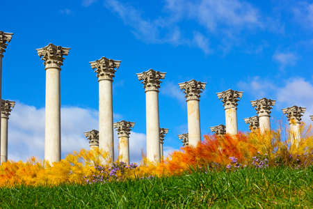 National Capitol Columns surrounded by autumn flowers. The Capitol Columns designed as Corinthian columns in the Ellipse Meadow at the National Arboretum, Washington DC.の写真素材