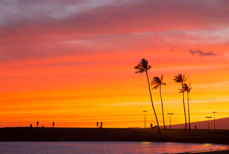 Spectacular sunset on the tropical Pacific Island, Oahu, Hawaii. Onlookers admire a colorful sunset on Waikiki beach.の写真素材