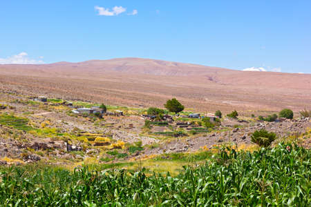 San Pedro de Atacama landscape in summer, Chile. Farming land with corn filed in Atacama Desert, South America.の写真素材