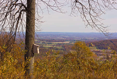 Exposed birdhouse in the park in late autumn. Autumn countryside panorama with mountains on horizon.の写真素材