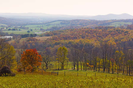 Foggy morning at the autumn park. Park panorama with Appalachian mountain on horizon, Virginia, USAの写真素材