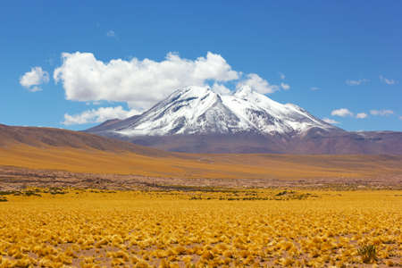 Grassland and mountains with snow peaks on horizon in the Atacama Desert, Chile. The natural beauty of vast wilderness.の写真素材