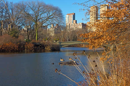 The Lake with its wildlife near famous Bow Bridge in Central Park, New York, USA.  Landscape of the park with lake and urban Manhattan skyscrapers on horizon in winter.の写真素材
