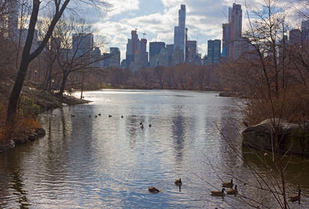 Winter landscape in New York Central Park with a view on Manhattan urban skyline. The Lake with birds in Manhattan skyscrapers reflection.の写真素材
