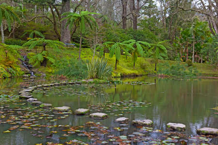A pond with bridge from stones in the park, Furnas, Azores, Portugal. Park with rich diverse flora on volcanic island of Sao Miguel in autumn.の写真素材