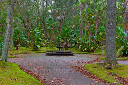 A fountain surrounded by pine and palm trees and small planter vases on stone pedestals, Azores, Portugal. Landscaped park in autumn with diverse flora in Furnas on Sao Miguel Island of Azores.の写真素材