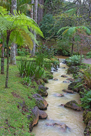 A water stream from hot volcanic spring in the park, Azores, Portugal. Landscaped park in autumn with diverse flora in Furnas on Sao Miguel Island of Azores.の写真素材