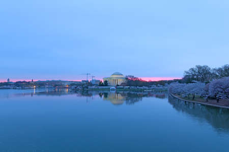 Cherry trees around Thomas Jefferson Memorial at quiet sunrise in Washington DC, USA. US capital panorama near Tidal Basin during Cherry Blossom peak bloom in spring.の写真素材
