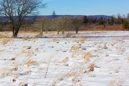 Winter landscape with perspective from a field to the mountains on horizon. A long evening shadows on snow in countryside of West Virginia, USA.の写真素材