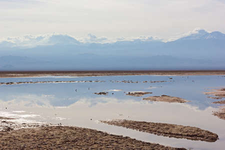 Desert landscape with snow peaks mountains of San Pedro de Atacama, Chile, South America. Colorful panoramic landscape with reflection in lagoon after the rain.の写真素材