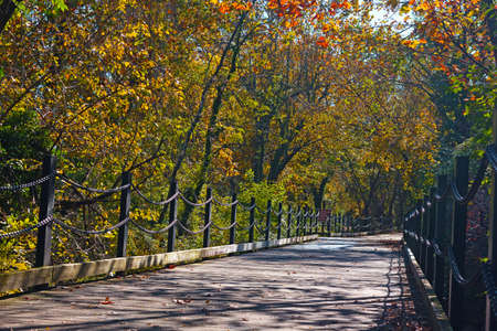 A pedestrian and bike trail along Potomac River in Arlington, VA, USA. Trail among deciduous trees on a sunny morning in autumn.の写真素材