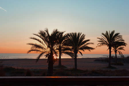 Beautiful sunrise over Mediterranean Sea in Valencia region of Spain. Wide sandy beach with palm trees during sunrise.の写真素材