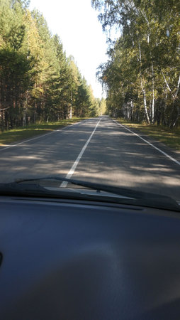 Road in the forest