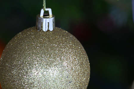 Christmas Tree Macroの写真素材