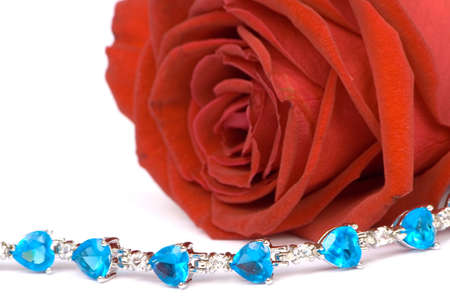 Gorgeous red Rose ISOLATEDの写真素材