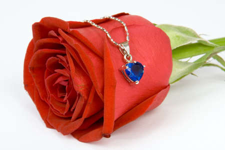 Gorgeous red Rose ISOLATEDの写真素材