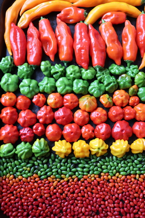 The multitude of chilli peppers, closeup viewの写真素材