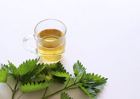 Leaves of fresh green nettle and a clear glass cup of herbal nettle tea on a white wood table .Medicinal plant. The concept of healthy nutrition.の写真素材