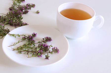 Thymus pulegioides tea and leaves,tea is effective during diseases of the upper respiratory tract.の写真素材