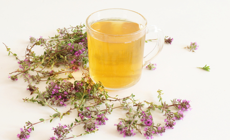 Thymus pulegioides tea and leaves. Tea is effective during diseases of the upper respiratory tract.Medicinal herb .The concept of healthy nutrition.の写真素材