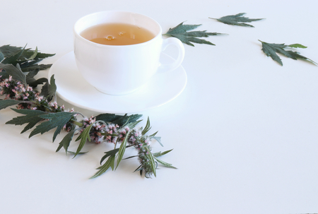 Leonurus cardiaca, known as motherwort .Tea and Motherwort leaves. Medicinal herb.The concept of healthy nutrition. Free space for text. Other common names include throw-wort, lions ear, and lions tail.の写真素材