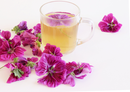 Tea or a cold-prepared macerate of flowers Malva mauritiana. The actual coloring that causes the plant dyes in response to lemon,a healing herbal drink helps with colds and a calm stomach.の写真素材