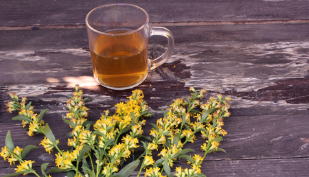 Tea in glass mug on wood background with goldenrod herb plant, Solidago virgaurea. Treats kidney and urinary tract diseases, improves metabolism.の写真素材