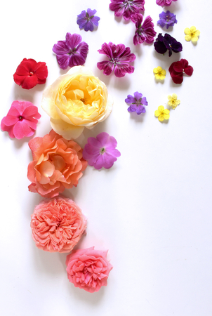 Feminine floral composition. Bouquet of wild and garden flowers ,fat lay, top view.の写真素材