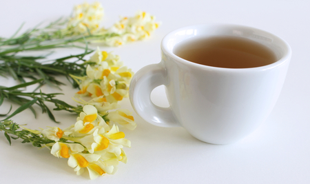 Flowering yellow Common Toadflax ,Linaria vulgaris and cup of tea close up isolated on white background.Medicinal plants, herbs in the nature,healthy concept.の写真素材