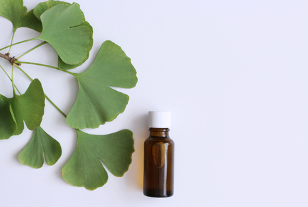 Tincture gingo biloba on white wooden table.Medicinal herb ginkgo biloba. Healthy concept,top view.の写真素材