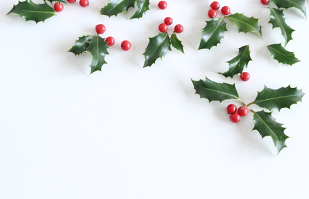 Christmas holly Ilex aquifolium isolated on white table background. Evergreen leaves with red berries. Empty space for holiday text. Decorative floral frame, web banner,Flat lay, top view.の写真素材