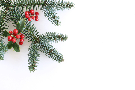 Christmas Styled Composition Decorative Frame Banner Holly Tree