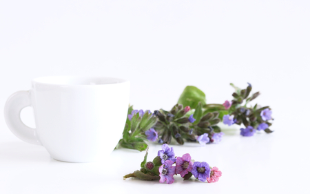 Herbal tea from Pulmonaria officinalis for herbal medicine and the flowers on white wood background. Minimalism. Beautiful spring wildflowers . Edible ,healthy .の写真素材