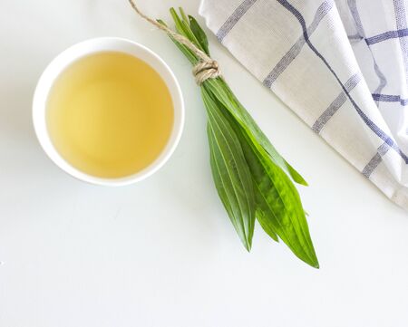 A cup of herbal tea against cough with fresh ribwort plantain leaves.Hebal medicine. Minimalism. Beautiful spring wildflowers,edible ,healthy .の写真素材
