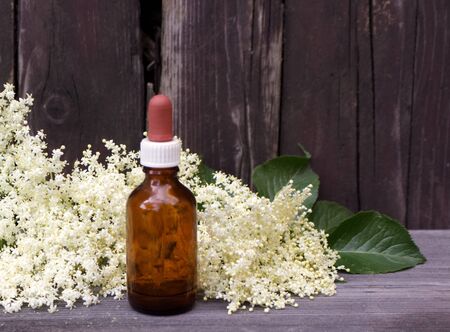 Elderberry infusion in water,the flowers and berries are used most often medicinally against flu and fever, angina.の写真素材