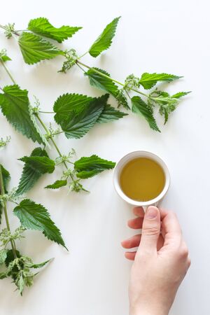 A cup of nettle tea on a white table, with fresh stinging nettles in the background. Medicinal plant,the concept of healthy nutrition.の写真素材