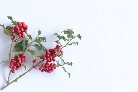 Christmas holly Ilex aquifolium isolated on white table background. Evergreen leaves with red berries. Decorative floral frame, web banner. Flat lay, top view, empty space for holiday text.の写真素材