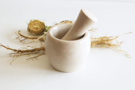 Blurred roots Teasel Dipsacus plant and marble mortar. In folk medicine, their roots are used to...