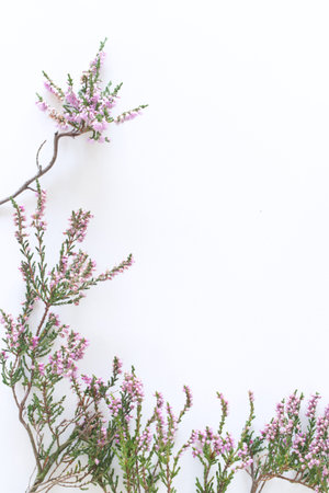 Styled stock photo. Autumn feminine scene, floral composition. Decorative banner, corner made of...