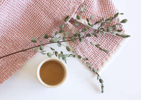 Closeup of green eucalyptus leaves branches, a cup of coffee, and pink plaid on white table background. Floral composition, feminine styled stock image. Selective focus. Nature concept.の写真素材